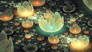 orange and green lotus flower graphic wallpaper, abstract, fractal, fractal flowers