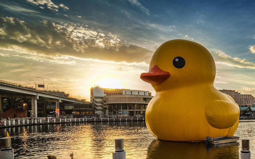 yellow duckling floating figure, rubber ducks, landscape, cityscape, water HD wallpaper