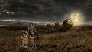 game poster, Photoshop, landscape, owl, watch