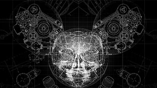 X-ray of skull and gears illustration HD wallpaper