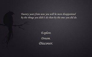 Explore, Dream, Discover text with black background
