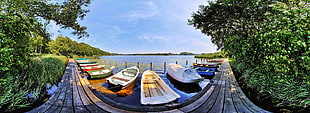 several assorted-color boats, landscape, fisheye lens, boat, pier