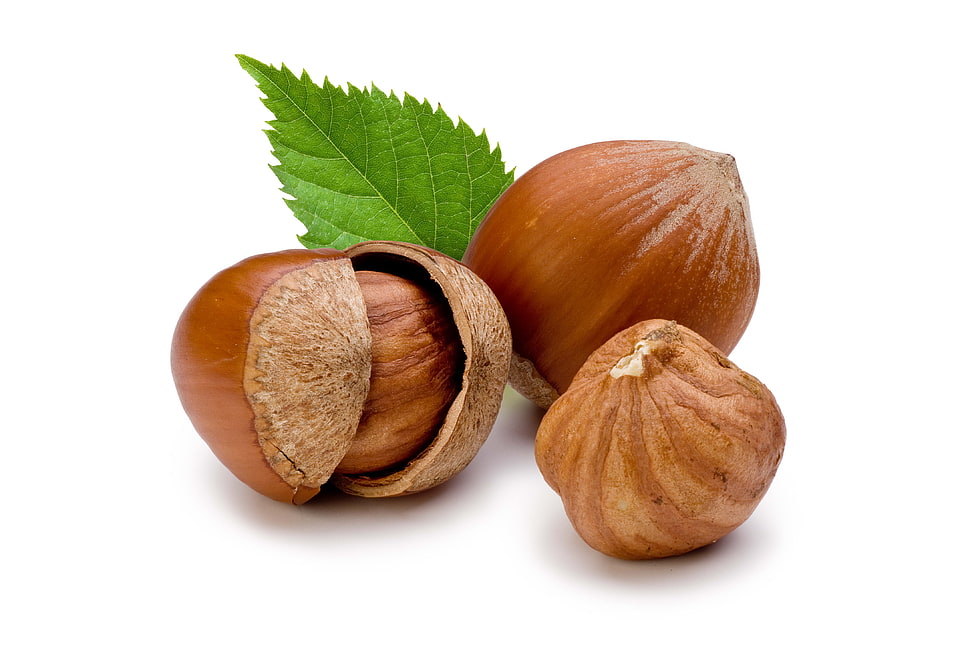 brown wall nuts HD wallpaper