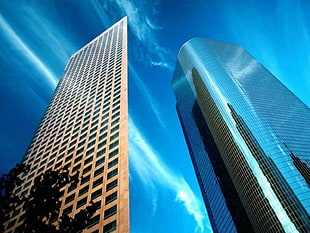 bottom photo of two high-rise buildings HD wallpaper
