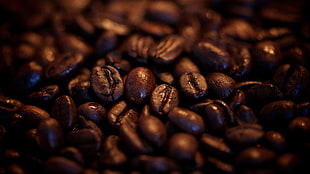 coffee beans, coffee beans HD wallpaper