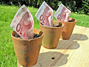 three pieces of money bills in brown pots