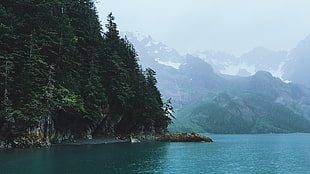 green trees, landscape, lake, nature, mountains HD wallpaper