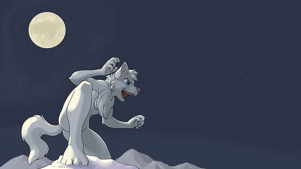white werewolf under fullmoon illustration HD wallpaper