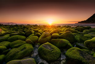 rocks covered in moss overlooking sun on horizon