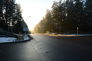 gray asphalt road, winter