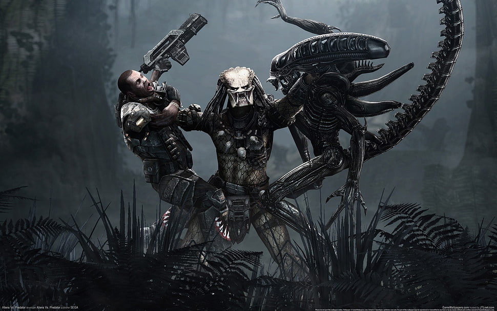 Alien vs Predator digital wallpaper HD wallpaper