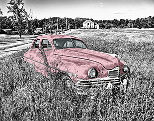 selective color photography of red vintage sedan surrounded of plant during daytime