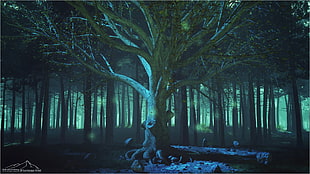 low-light photo of bare tree