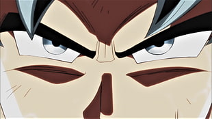 Son Goku, Super Saiyan Blue, DBS, Son Goku, Dragon Ball Super HD wallpaper