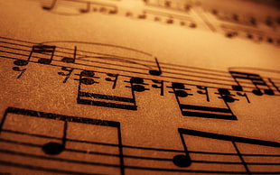 white and black printed textile, Music Sheet, musical notes HD wallpaper