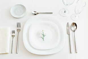 white ceramic plate set