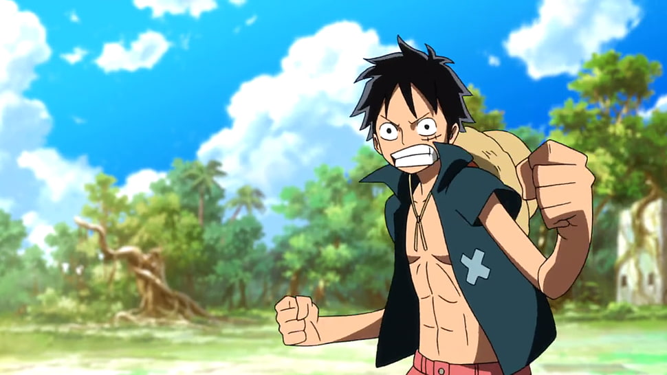Luffy of One Piece character, One Piece, Monkey D. Luffy, anime HD wallpaper