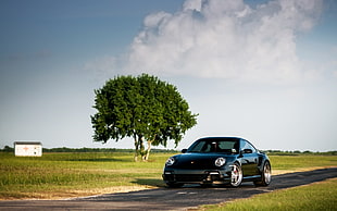 black Porsche 911 coupe, car, Porsche