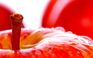 close up photo of red apple with water droplets