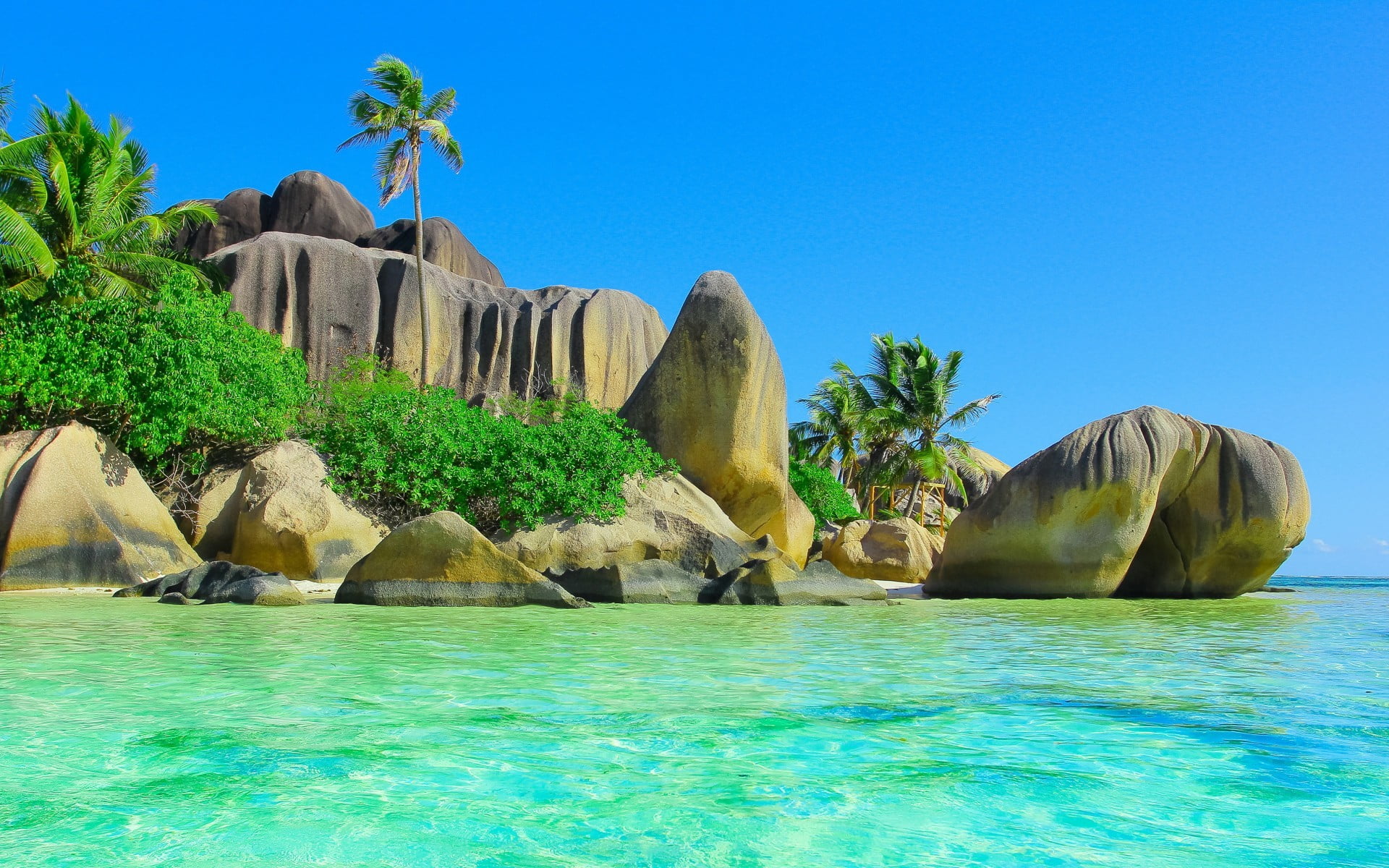 gray rock cliff, beach, sand, palm trees, stones