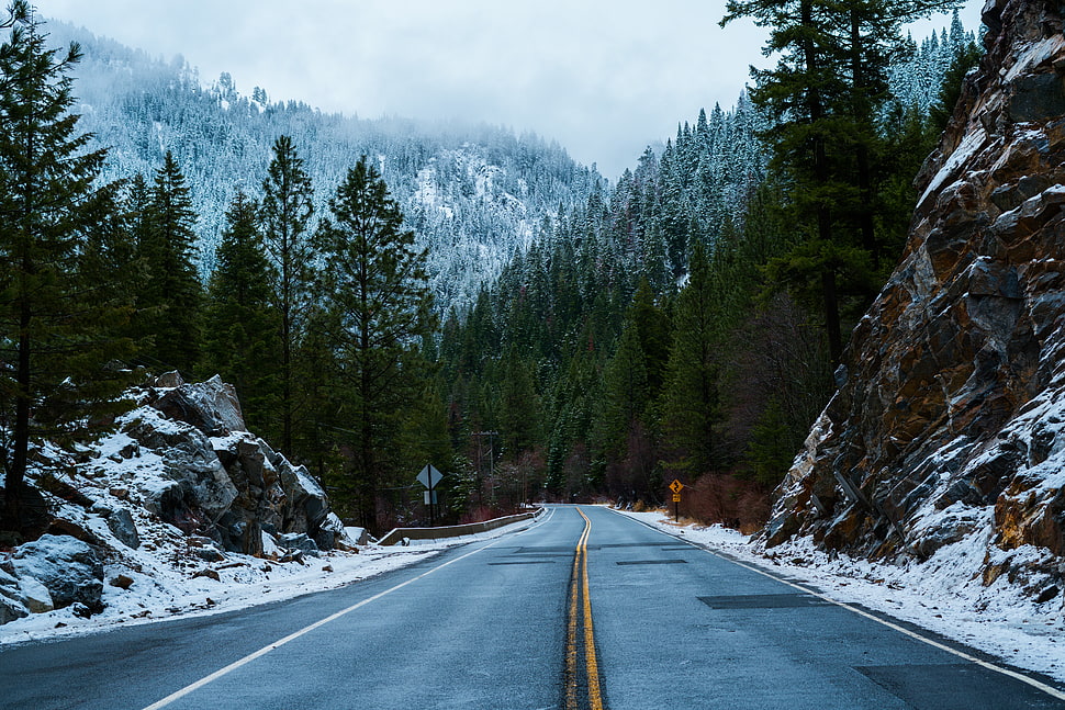 gray asphalt road, Forest, Road, Snow HD wallpaper