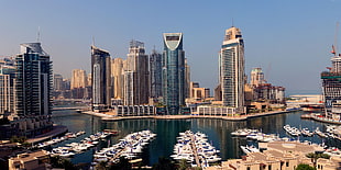 landscape photo of high rise buildings