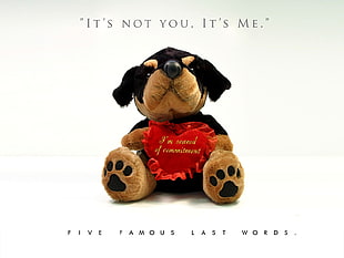 brown and black dog plush toy with It's not you, It's me text
