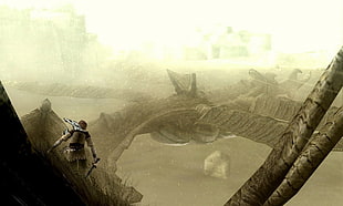 brown haired male game character wallpaper, Shadow of the Colossus, video games