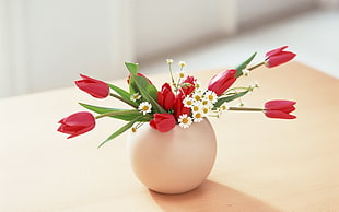 red flowers in vase HD wallpaper