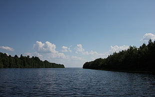 photograph of blue body of water during daytime