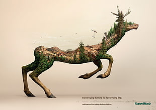Robin Wood destroying nature is destroying life Ad