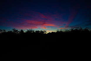 silhouette of hill at sunset, Joshua Tree National Park, landscape, evening, sunset HD wallpaper
