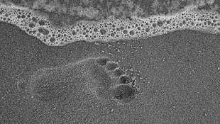 footprint on seashore sand HD wallpaper