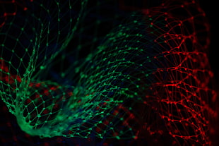 red and green lighted net