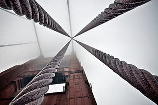 low angle photography of ropes