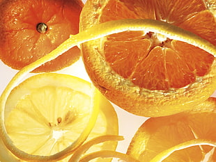 close up photo of sliced oranges HD wallpaper