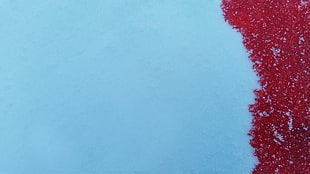 snow, war, winter, blood HD wallpaper