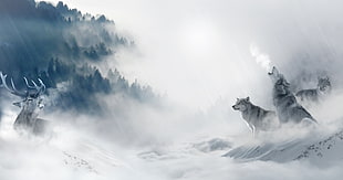 illustration two dire wolves in artic environment HD wallpaper