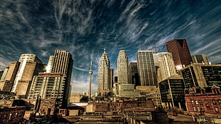 city buildings under blue sky HD wallpaper