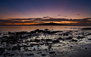 silhouette photo of sea, landscape, Auckland, beach, rock