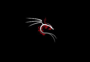 red and white dragon logo HD wallpaper