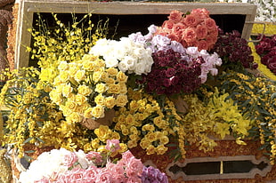assorted color Roses and Lilies arrangement at daytime