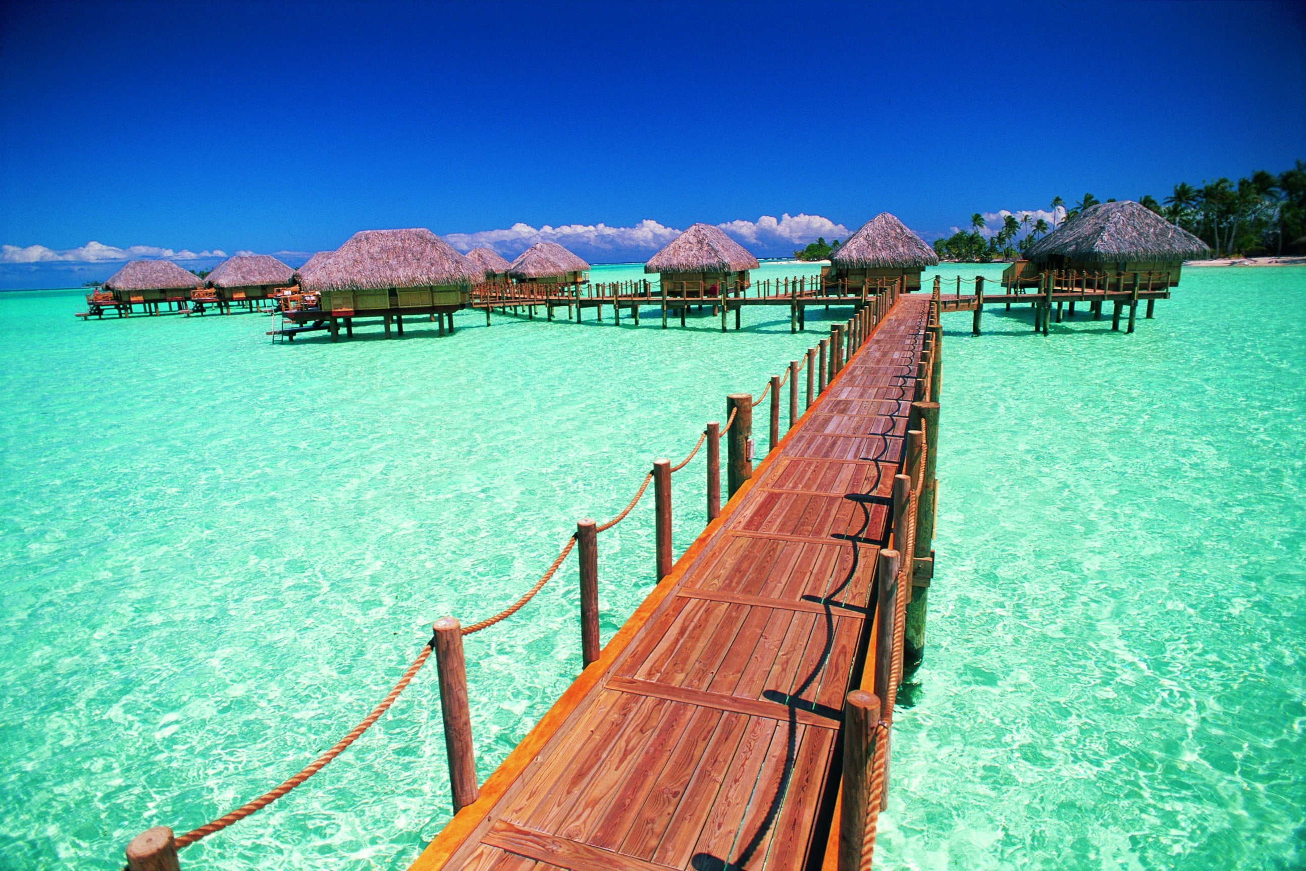 brown wooden docking pier, sea