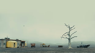 white withered tree, Blade Runner, Blade Runner 2049, movies, trees