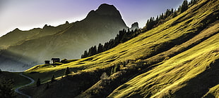 landscape photography of green mountain