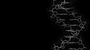 DNA building blocks illustration, DNA, science, minimalism, artwork