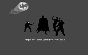 Batman shadow illustration, Batman, ninjas