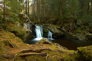 waterfalls on the forest HD wallpaper