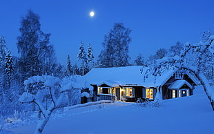 snowed house photo