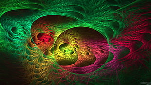 green, yellow, pink, and red wallpaper